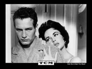 Картинка cat on hot tin roof кино фильмы