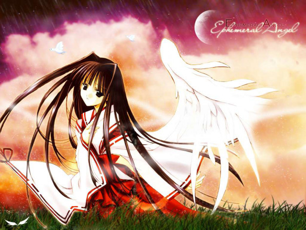 Обои картинки фото аниме, angel, dust