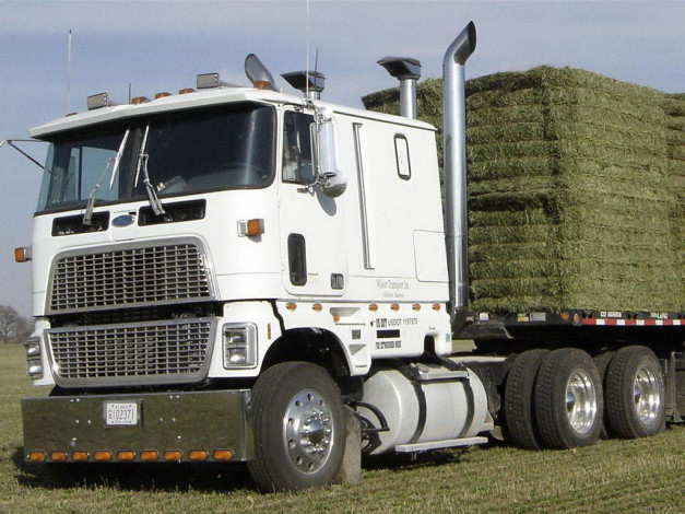 Обои картинки фото автомобили, ford, trucks