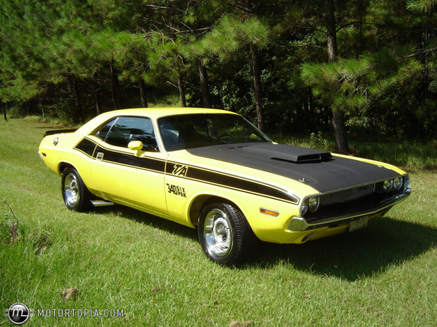 Обои картинки фото автомобили, выставки, уличные, фото