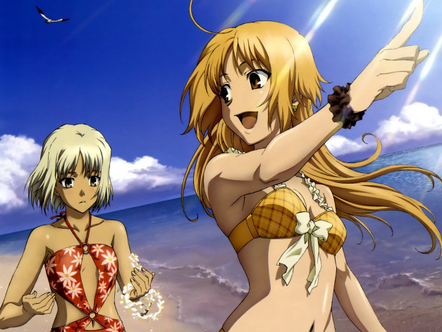 Обои картинки фото canaan, аниме