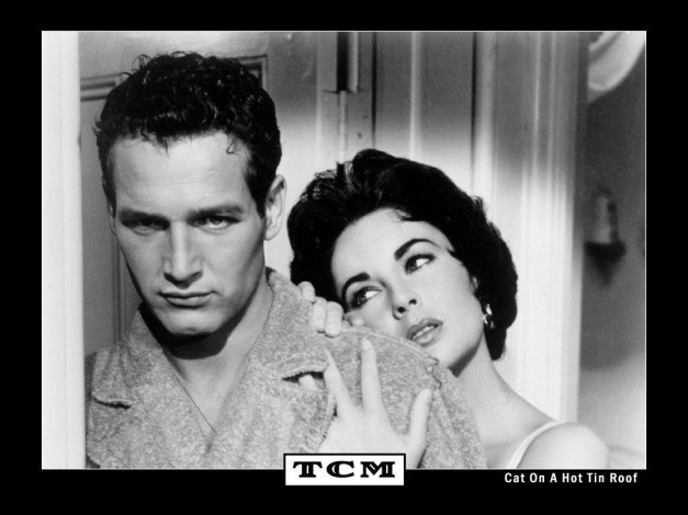 Обои картинки фото cat, on, hot, tin, roof, кино, фильмы