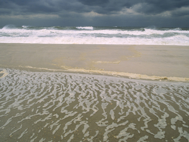 Обои картинки фото 