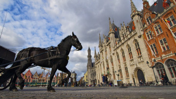 Картинка города улицы площади набережные лошадь площадь