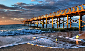 Картинка природа побережье чайки мост море птицы