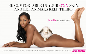 Картинка бренды peta people for the ethical treatment of animals