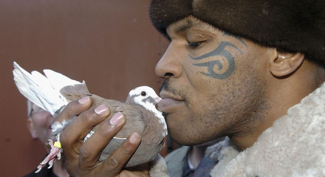 Обои картинки фото mike, tyson, мужчины, боксёр, голубь, птица, тату