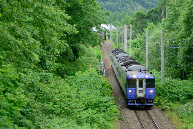 Обои картинки фото техника, поезда, поезд