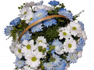 Картинка цветы хризантемы букет корзина