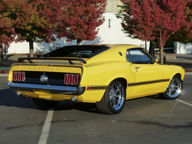 Обои картинки фото автомобили, mustang