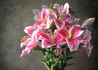 Картинка цветы лилии +лилейники букет