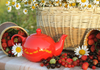 Картинка еда фрукты +ягоды ромашки клубника смородина крыжовник малина