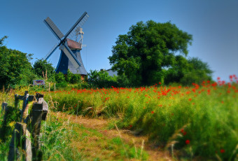 Картинка разное мельницы мельница ветряк