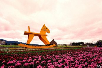 Картинка цветы бегония лошадка пейзаж