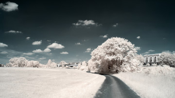 Картинка разное компьютерный+дизайн поле дорога деревья