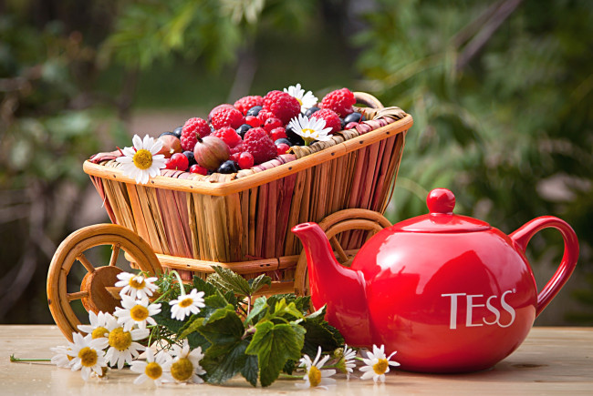 Обои картинки фото еда, фрукты,  ягоды, смородина, крыжовник, малина, клубника, ромашки