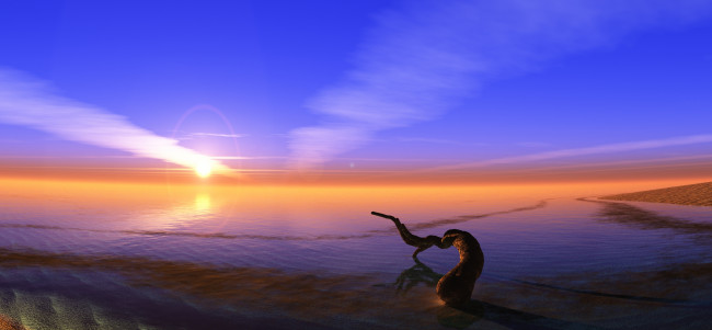 Обои картинки фото 3д графика, природа , nature, песок, коряга, закат, море