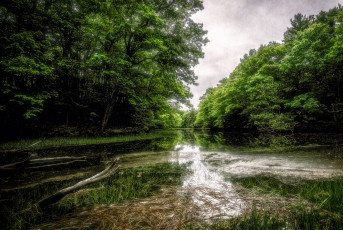 Картинка природа реки озера река лес