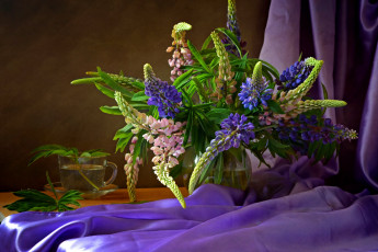 Картинка цветы люпин букет натюрморт люпины композиция