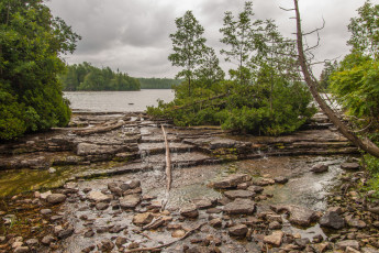 Картинка природа реки озера река лес