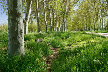 Картинка природа дороги тропика