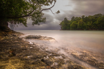 Картинка природа реки озера река лес