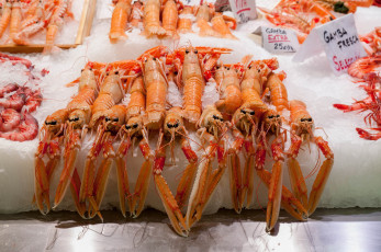 Картинка еда рыба +морепродукты +суши +роллы деликатесы