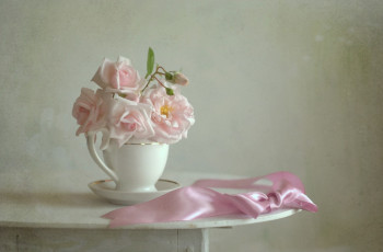 Картинка цветы розы blossoms petals leaves bud rose листья цветение лепестки бутон роза