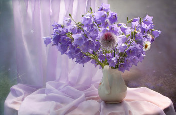 Картинка цветы колокольчики натюрморт лето