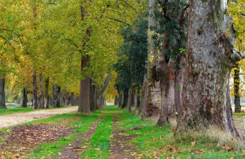 Картинка природа дороги тропика