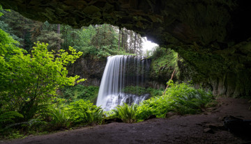 Картинка природа водопады водопад река лес