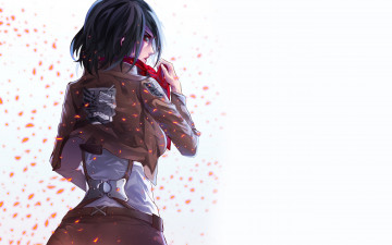 Картинка аниме shingeki+no+kyojin девушка