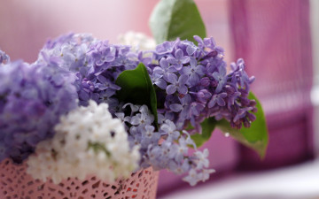 Картинка цветы сирень ветки кашпо макро