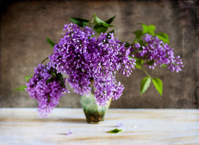 Обои картинки фото цветы, сирень, букет, ваза