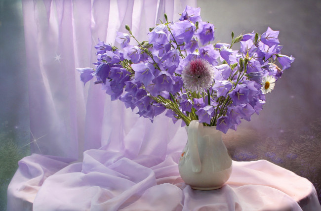 Обои картинки фото цветы, колокольчики, натюрморт, лето