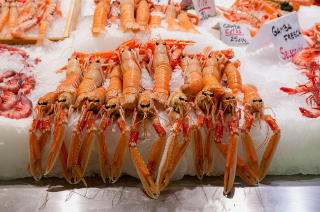 Обои картинки фото еда, рыба,  морепродукты,  суши,  роллы, деликатесы