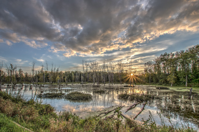 Обои картинки фото природа, реки, озера, лес, река