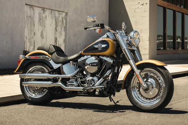 Обои картинки фото мотоциклы, harley-davidson