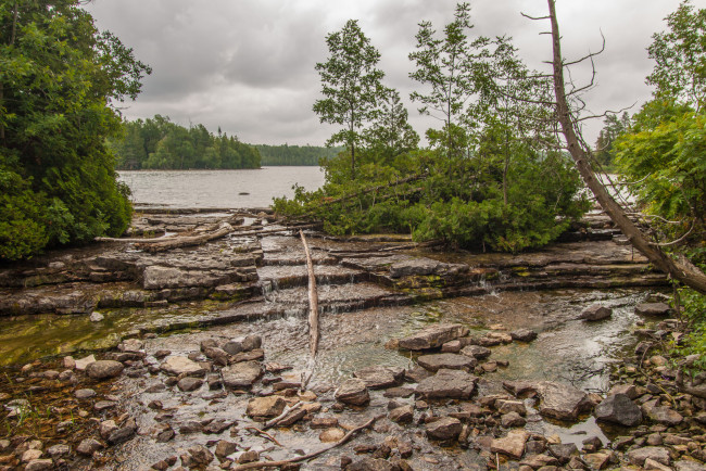 Обои картинки фото природа, реки, озера, река, лес