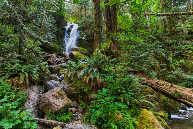 Обои картинки фото природа, водопады, лес, река, водопад