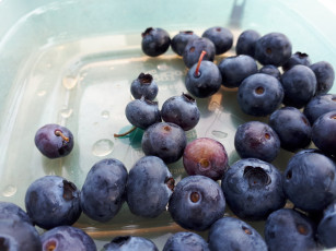 Картинка еда голубика +черника черника