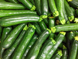 обоя еда, кабачки,  цуккини,  патиссоны, цуккини