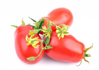 Картинка еда помидоры помидор