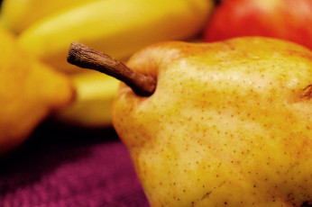 Картинка еда груши макро