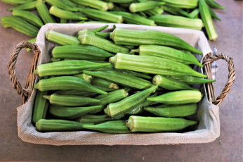 Картинка еда окра бамия
