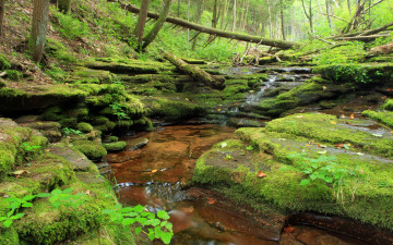 Картинка природа реки озера ручей