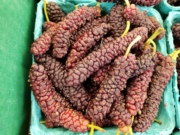 Обои картинки фото еда, фрукты,  ягоды, шелковица