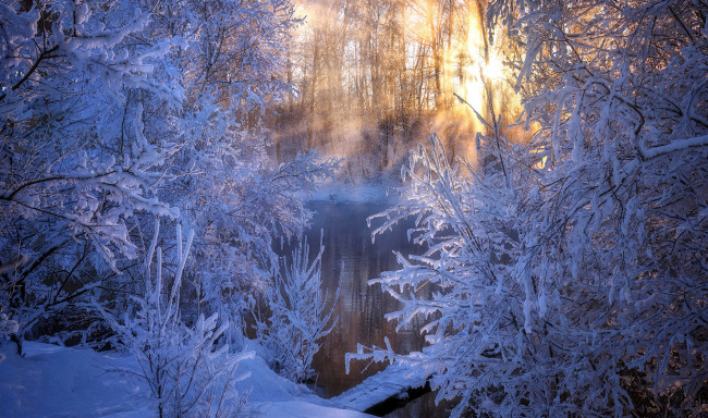 Обои картинки фото природа, зима, иней, снег