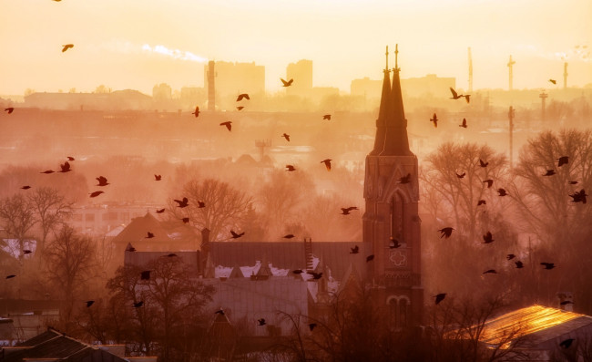 Обои картинки фото храм воздвижения святого креста,  тамбов, города, - православные церкви,  монастыри, город, стая, птицы, храм