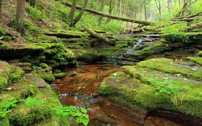 Обои картинки фото природа, реки, озера, ручей